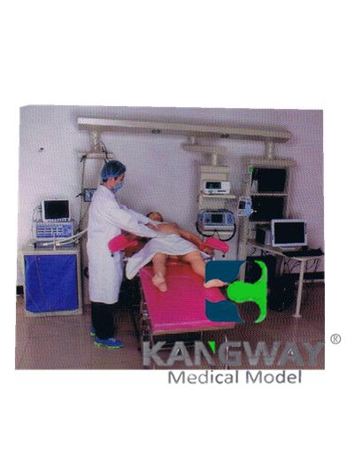 包头“康为医疗”产妇-高仿真标准化病人实训系统 V1.0