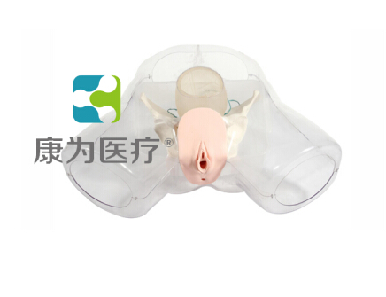 赤峰“康为医疗”女性宫腔电切模型