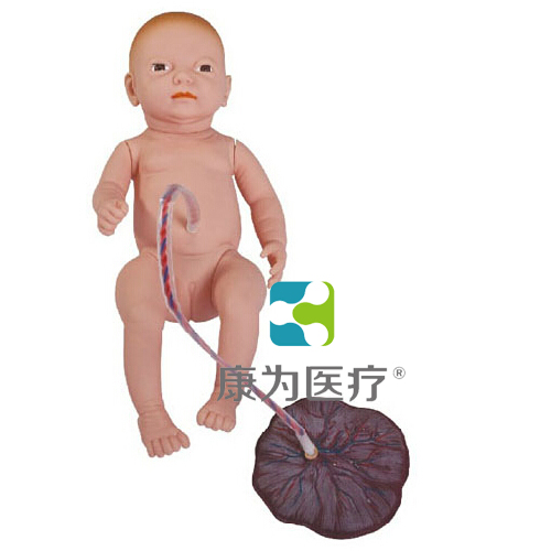 “康为医疗”高级新生儿脐带护理模型