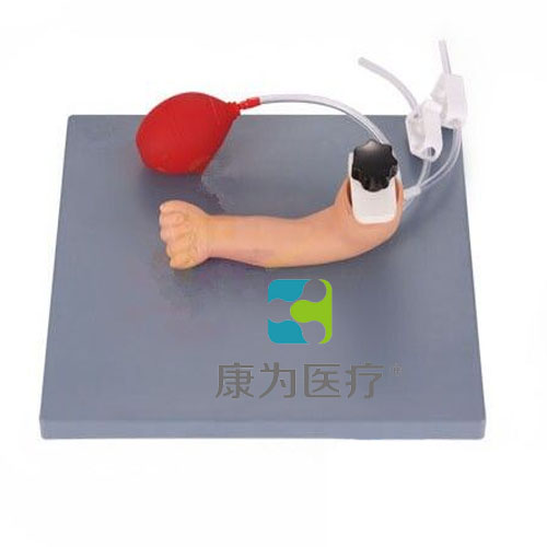 赤峰“康为医疗”高级婴儿手臂动脉穿刺模型
