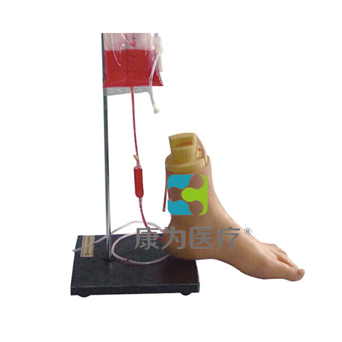 湘西“康为医疗”下肢足部静脉注射仿真模型