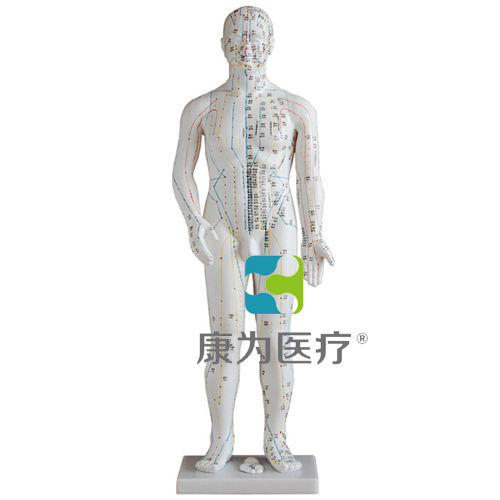 赤峰“康为医疗”人体针灸模型48CM