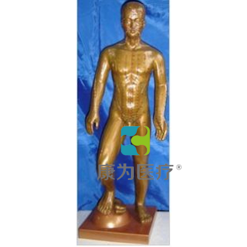 达州“康为医疗”运动式古铜色人体针灸模型（85CM）
