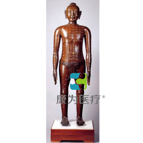 日喀则“康为医疗”真铜全铜 85CM 成人中型铜人模型
