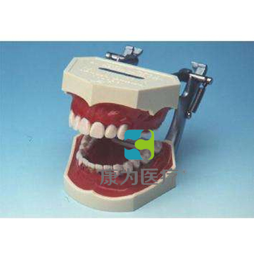 “康为医疗”牙周病模型