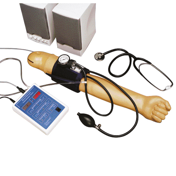 德国3B Scientific®血压臂模型，带有220 V扩音器
