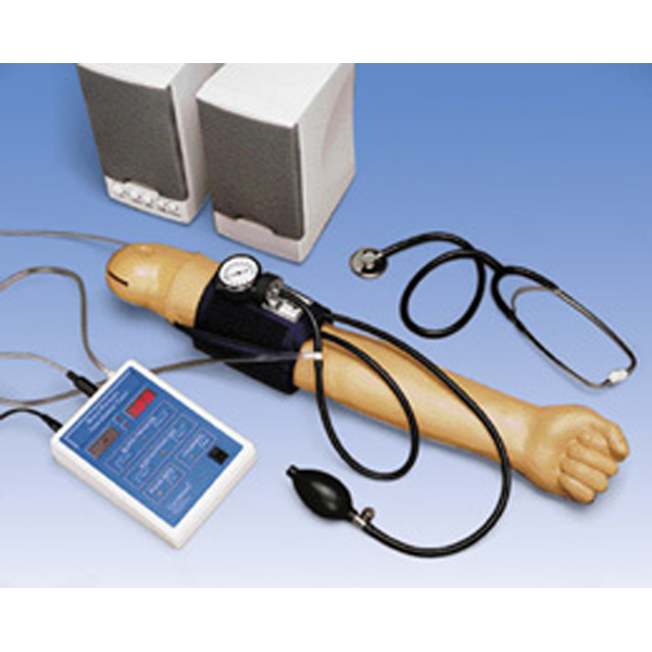 德国3B Scientific®血压臂模型，带有110 V扩音器