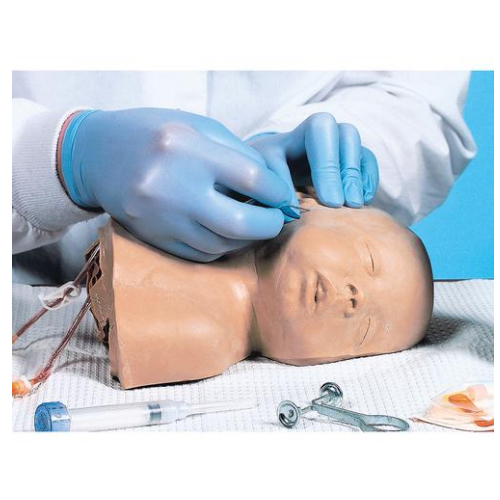 德国3B Scientific®幼儿头部静脉血管注射练习