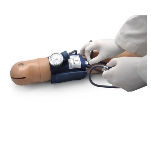 德国3B Scientific®血压训练系统，带扬声器