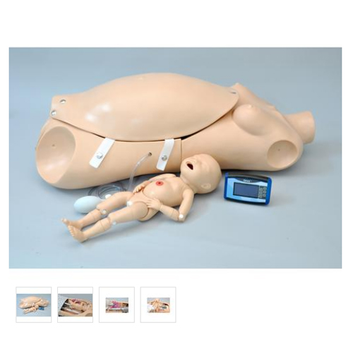 德国3B Scientific®产妇和新生儿分娩躯干模型