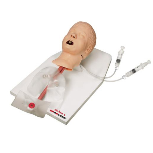 德国3B Scientific®高级儿童呼吸道训练模型