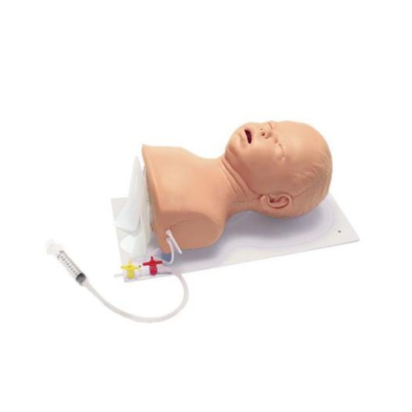 德国3B Scientific®高级婴儿插管模型，头部具有固定板