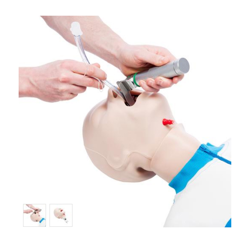 德国3B Scientific®供 CPR Lilly PRO 使用的插管练习用头部模型