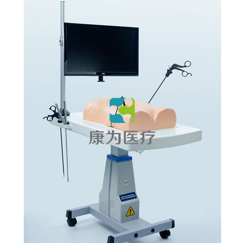 “康为医疗”腹腔镜（生物仿真材料）模拟训练系统