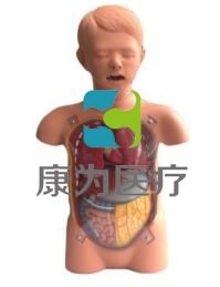 “康为医疗”儿童透明洗胃训练模型,儿童洗胃操作模型,小儿透明洗胃模型